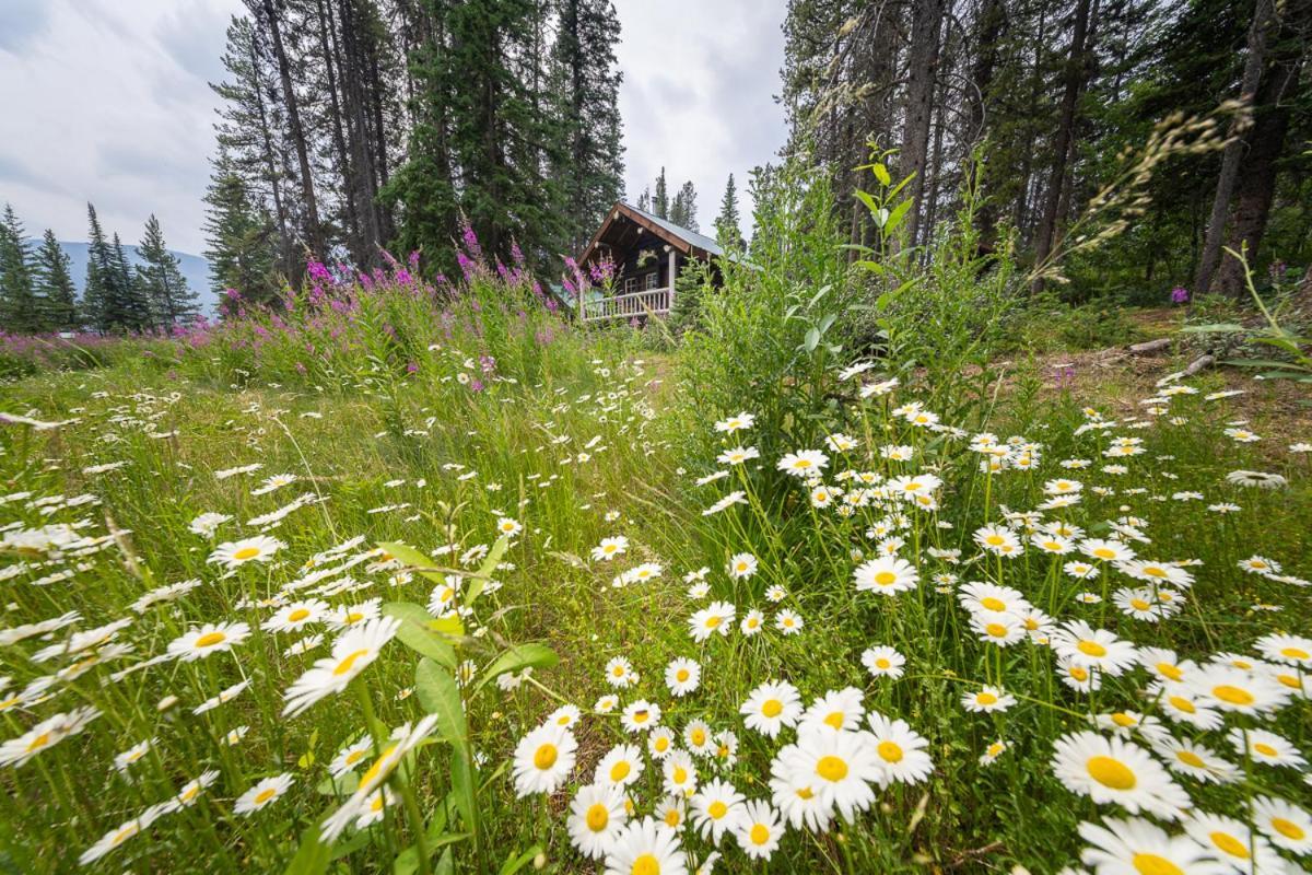 Storm Mountain Lodge & Cabins Castle Junction Exterior foto