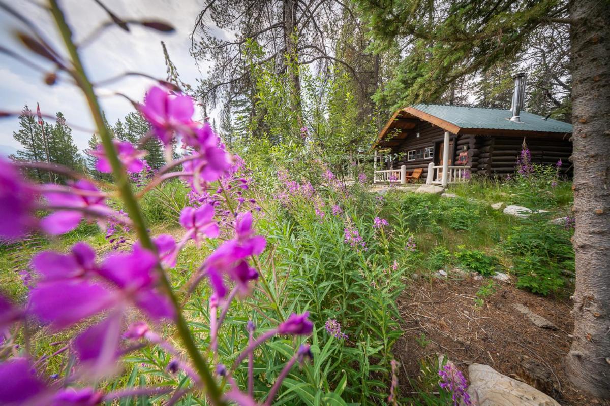 Storm Mountain Lodge & Cabins Castle Junction Exterior foto