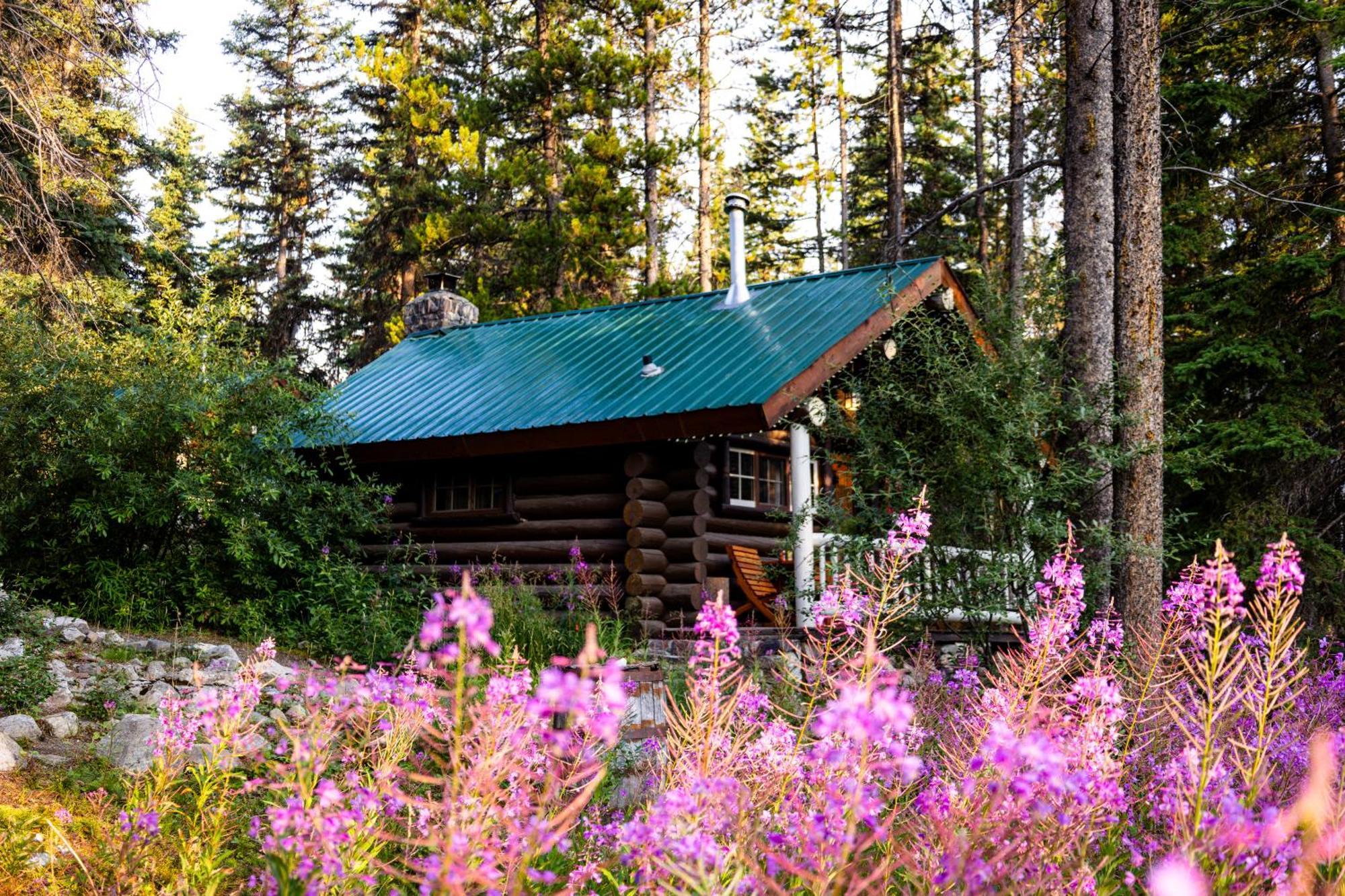 Storm Mountain Lodge & Cabins Castle Junction Exterior foto